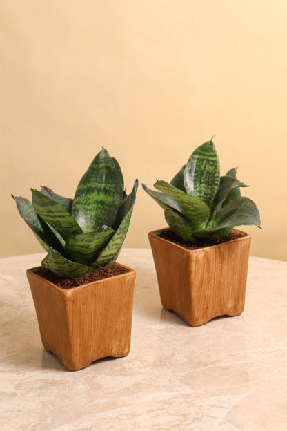 Antique Tiny Pot (set of 2)