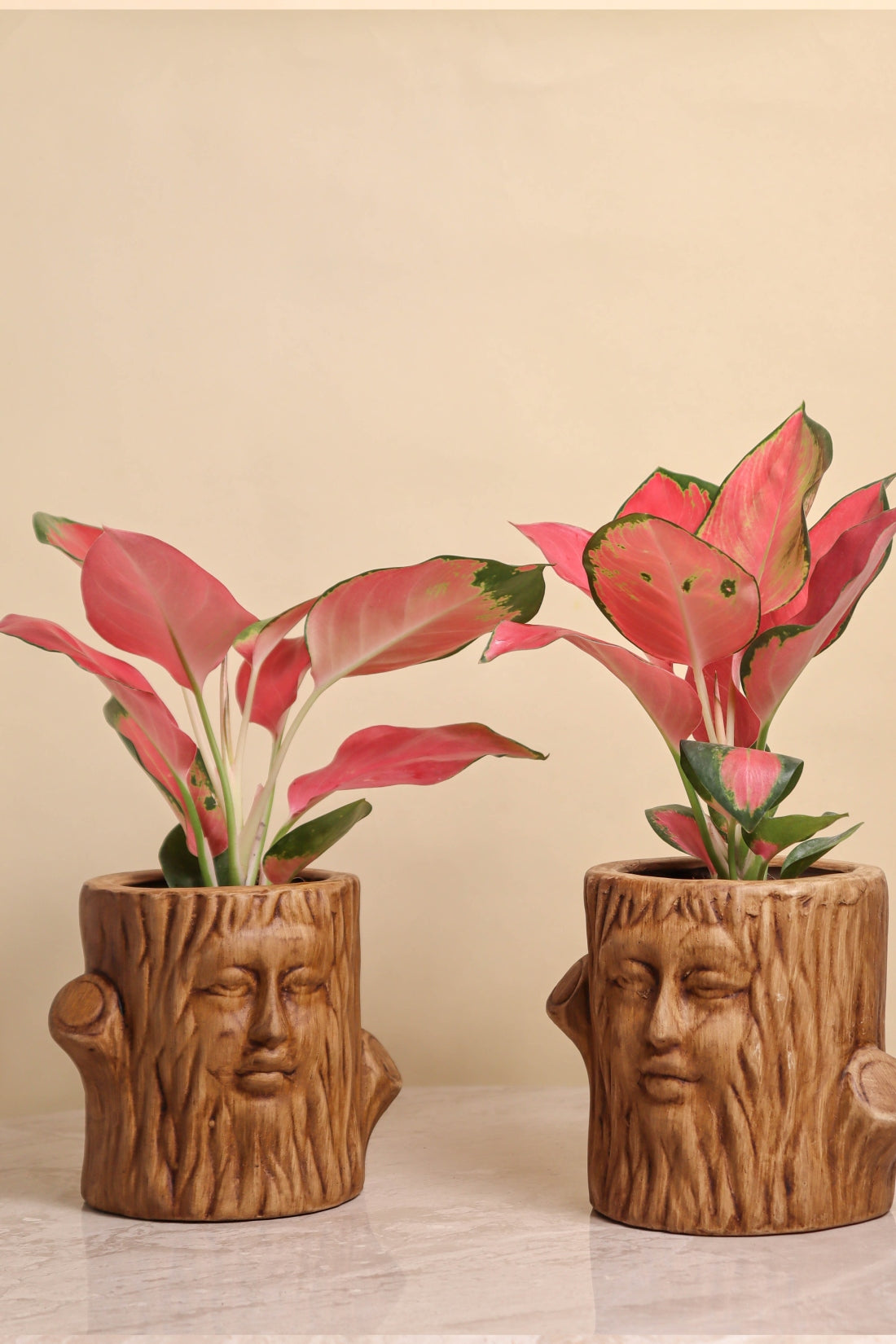 Antique Tree King Pot (set of 2)