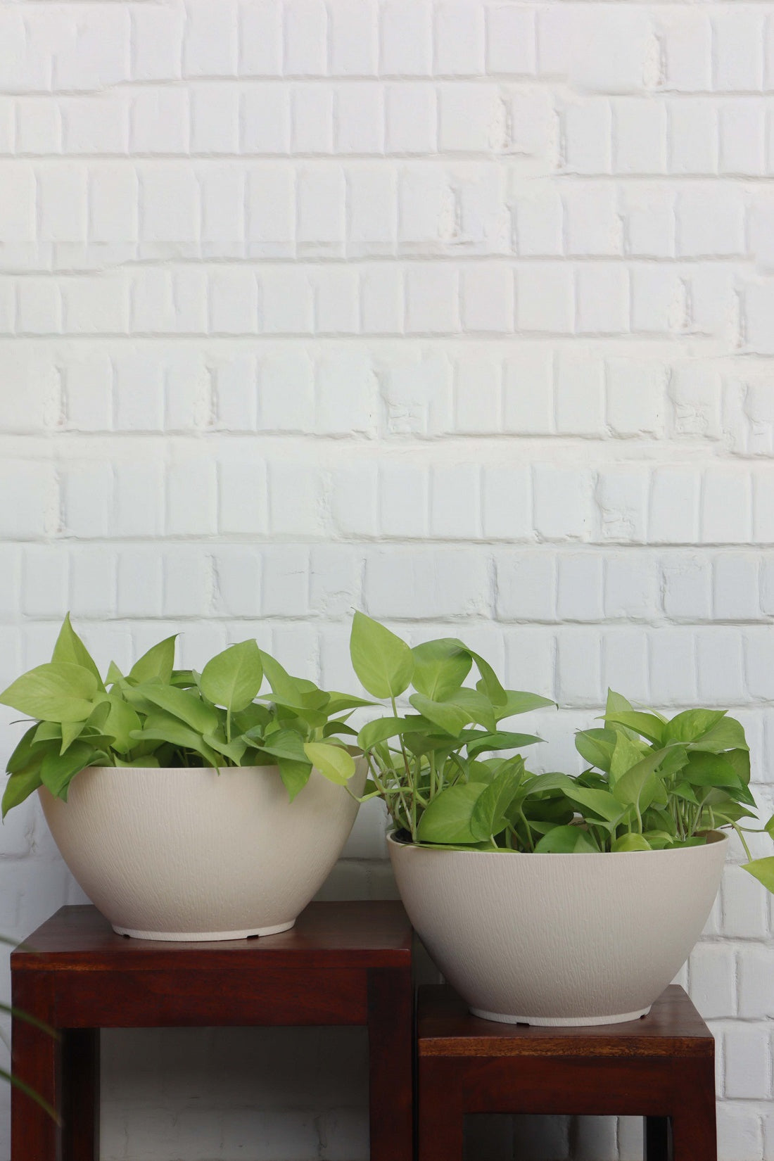 Ara 32 Pot (set of 2)