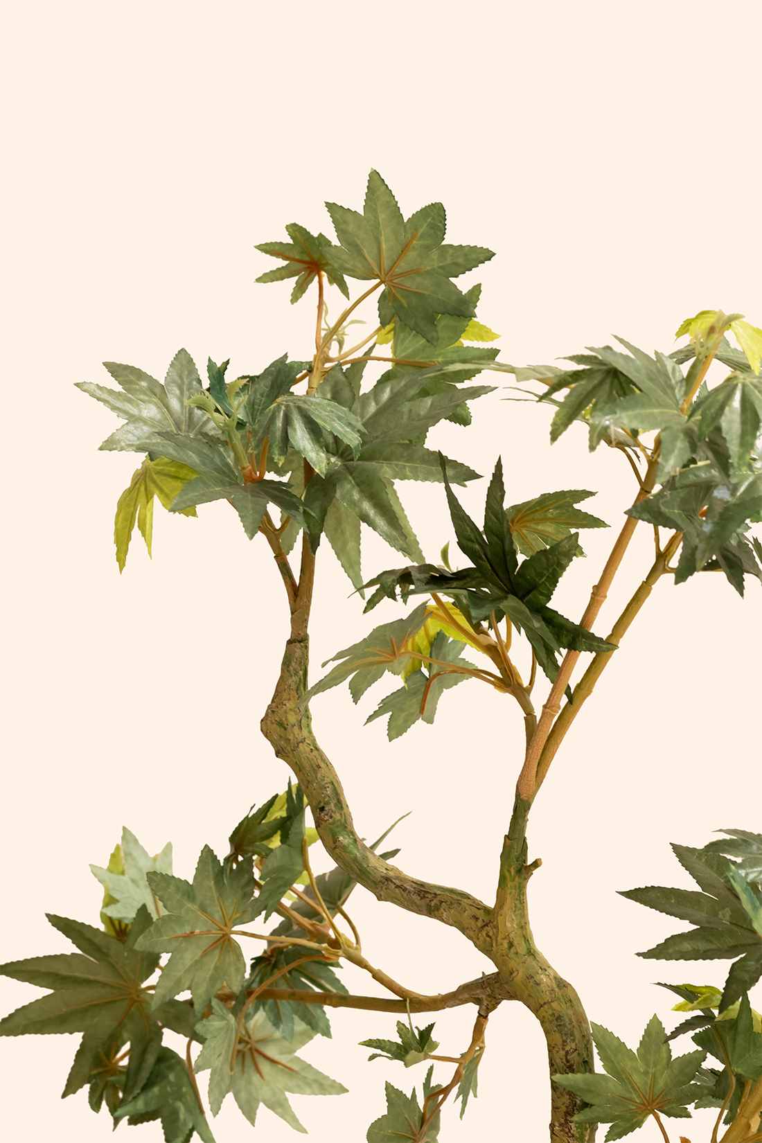 Artificial Umbrella Bonsai Plant