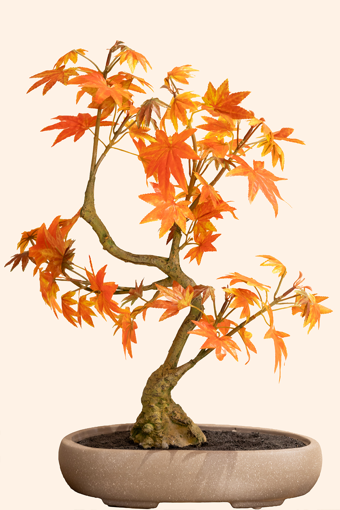 Artificial Umbrella Bonsai Plant
