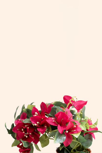 Artificial Bougainvillea Table Top