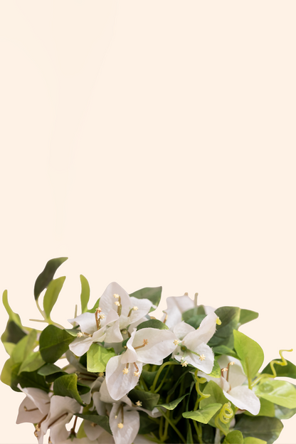 Artificial Bougainvillea Table Top