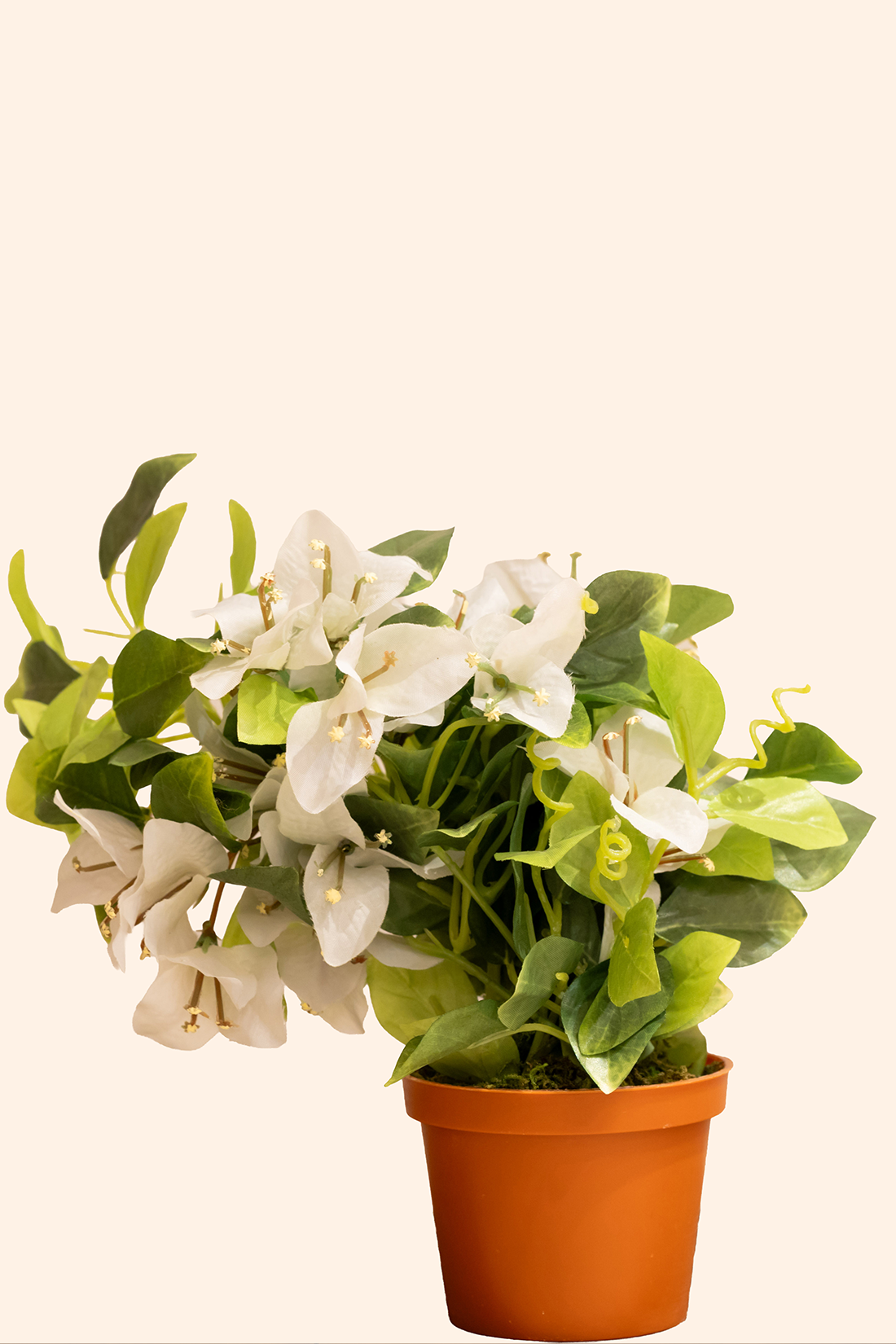 Artificial Bougainvillea Table Top
