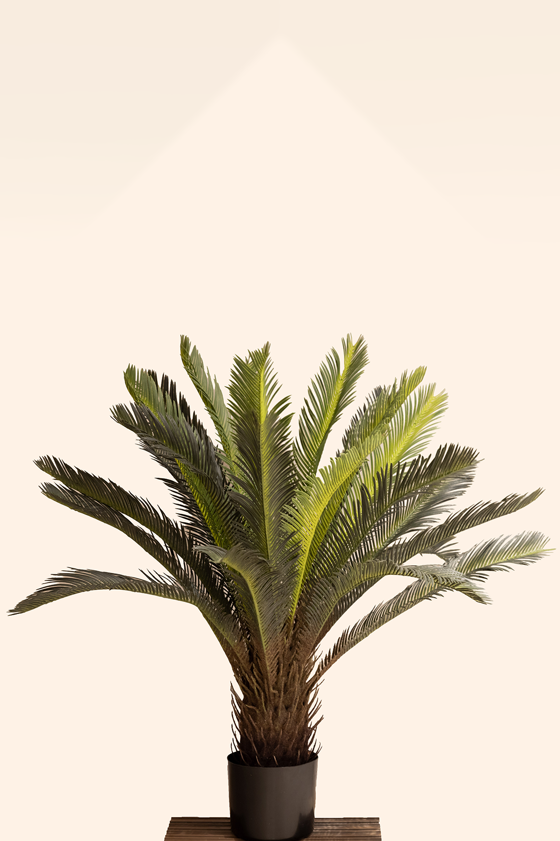 Artificial Cycas Plant