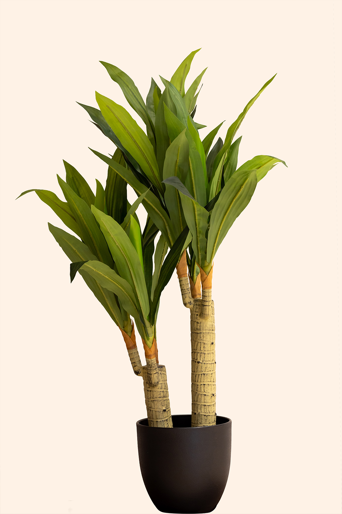 Artificial Dracena Plant