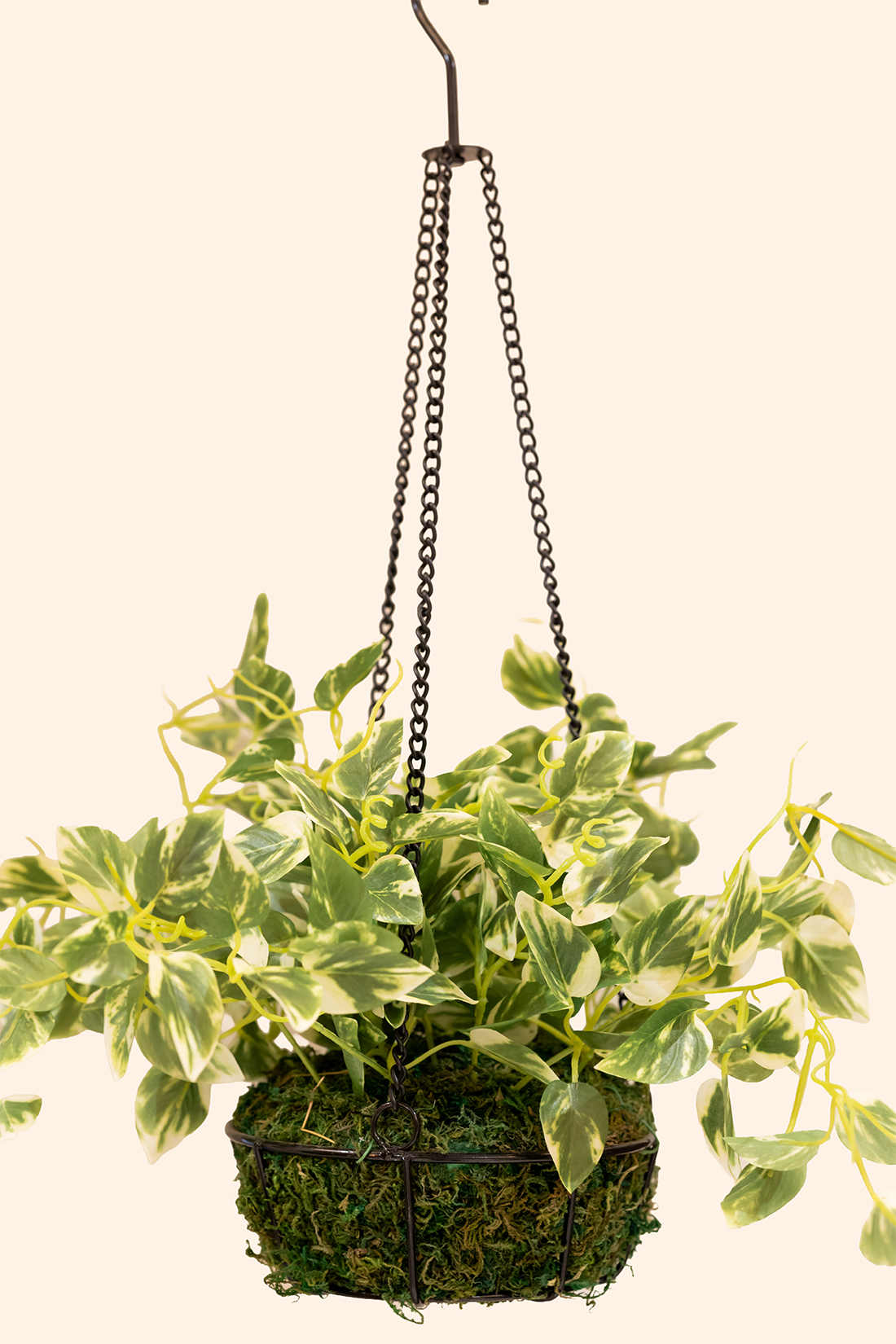 Artificial Money Plant Hanging Pot