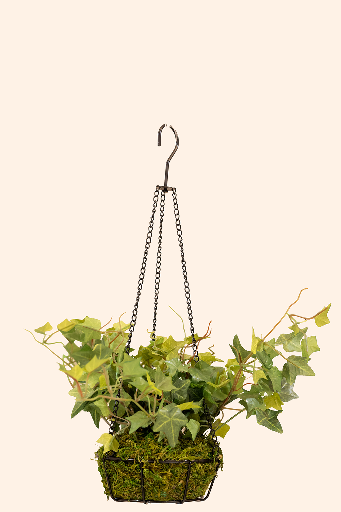 Artificial Money Plant Hanging Pot