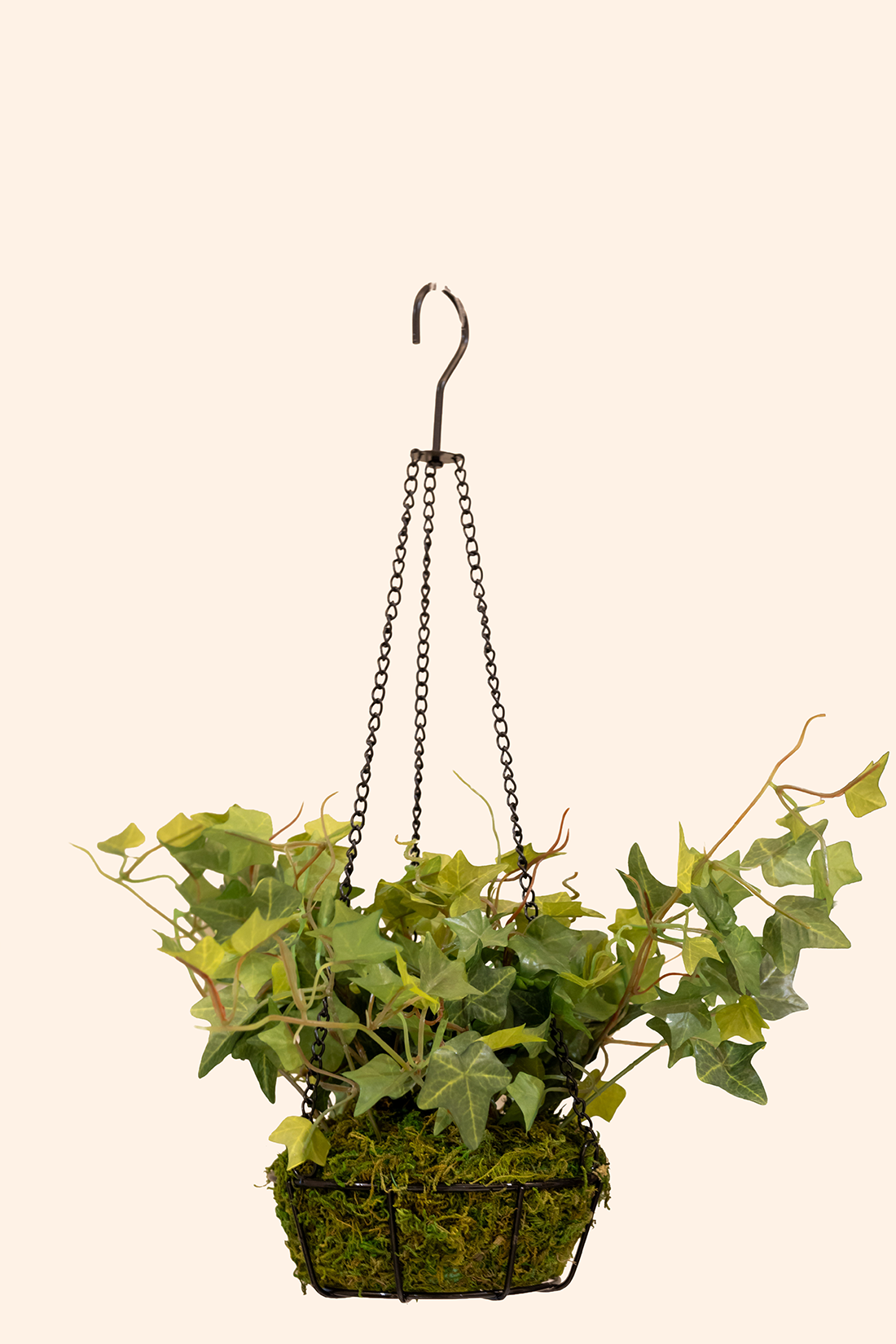 Artificial Money Plant Hanging Pot