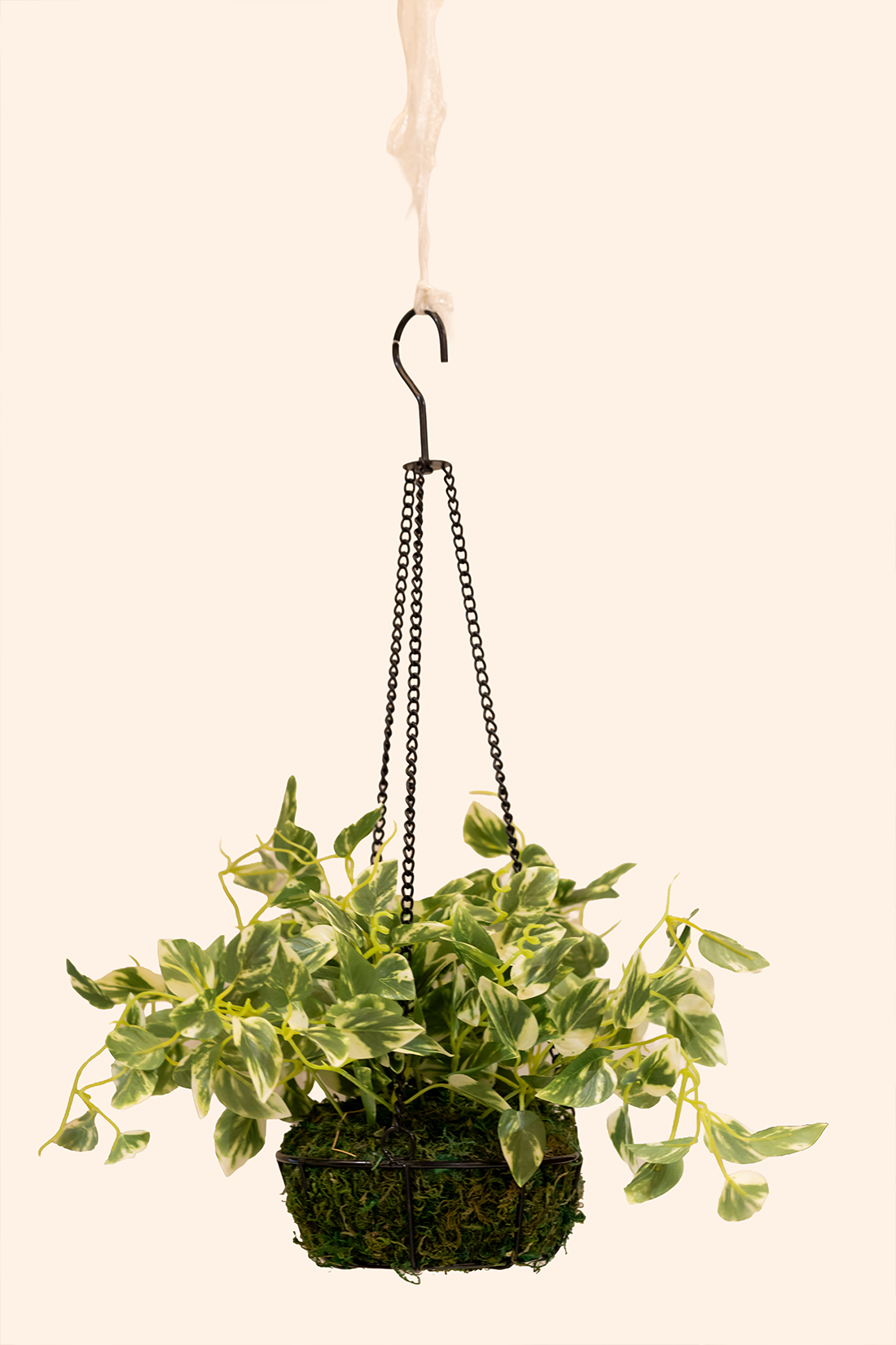Artificial Money Plant Hanging Pot