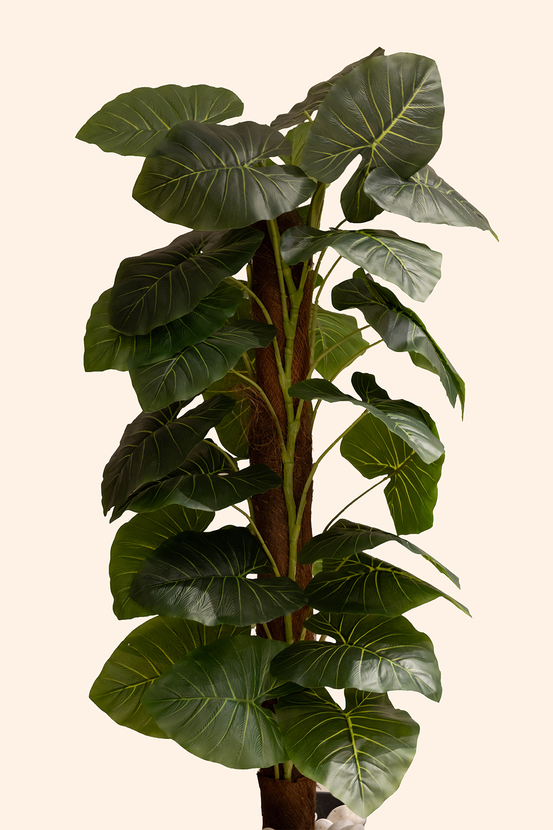 Artificial Money Plant with Moss Stick