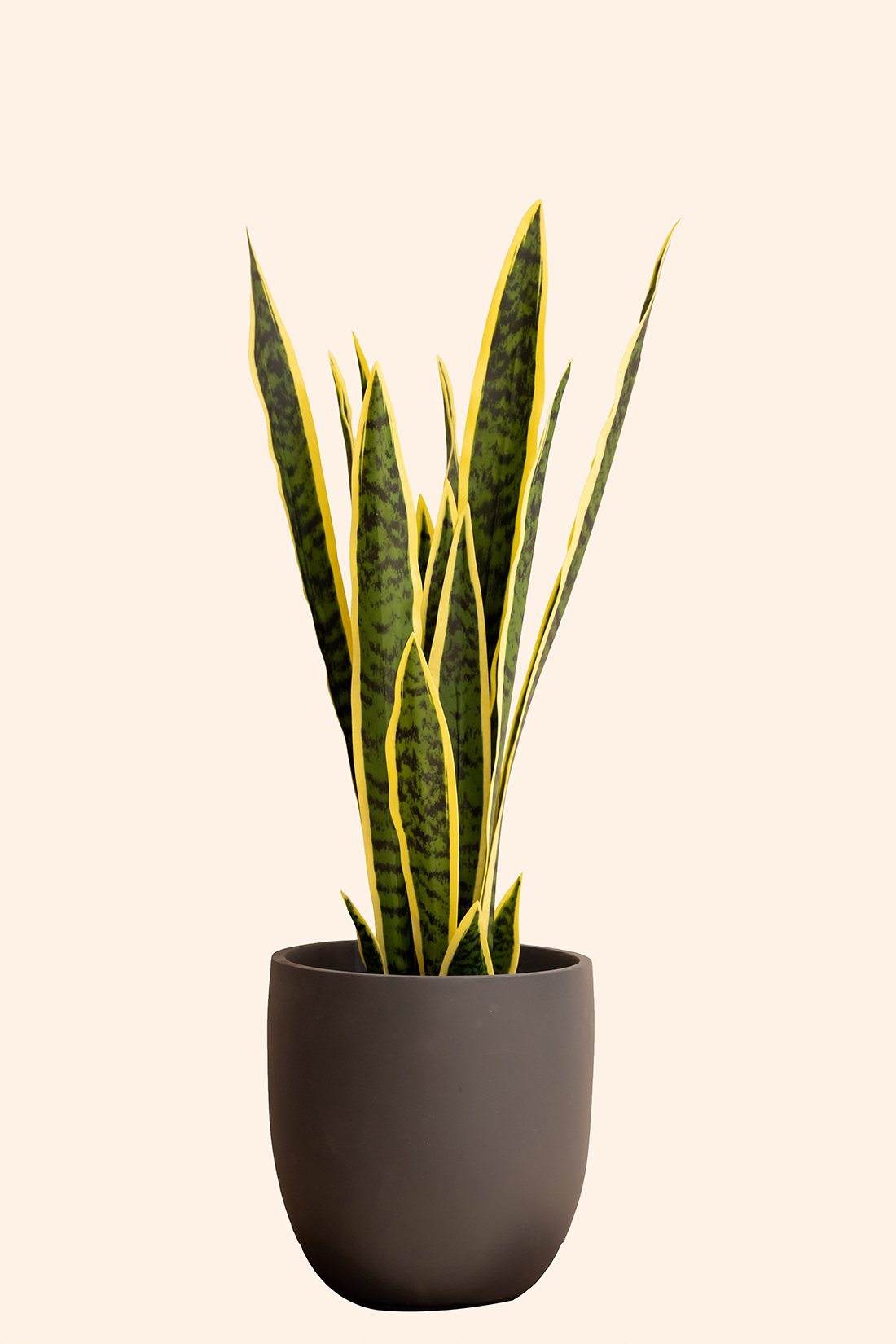 Artificial Snake Plant
