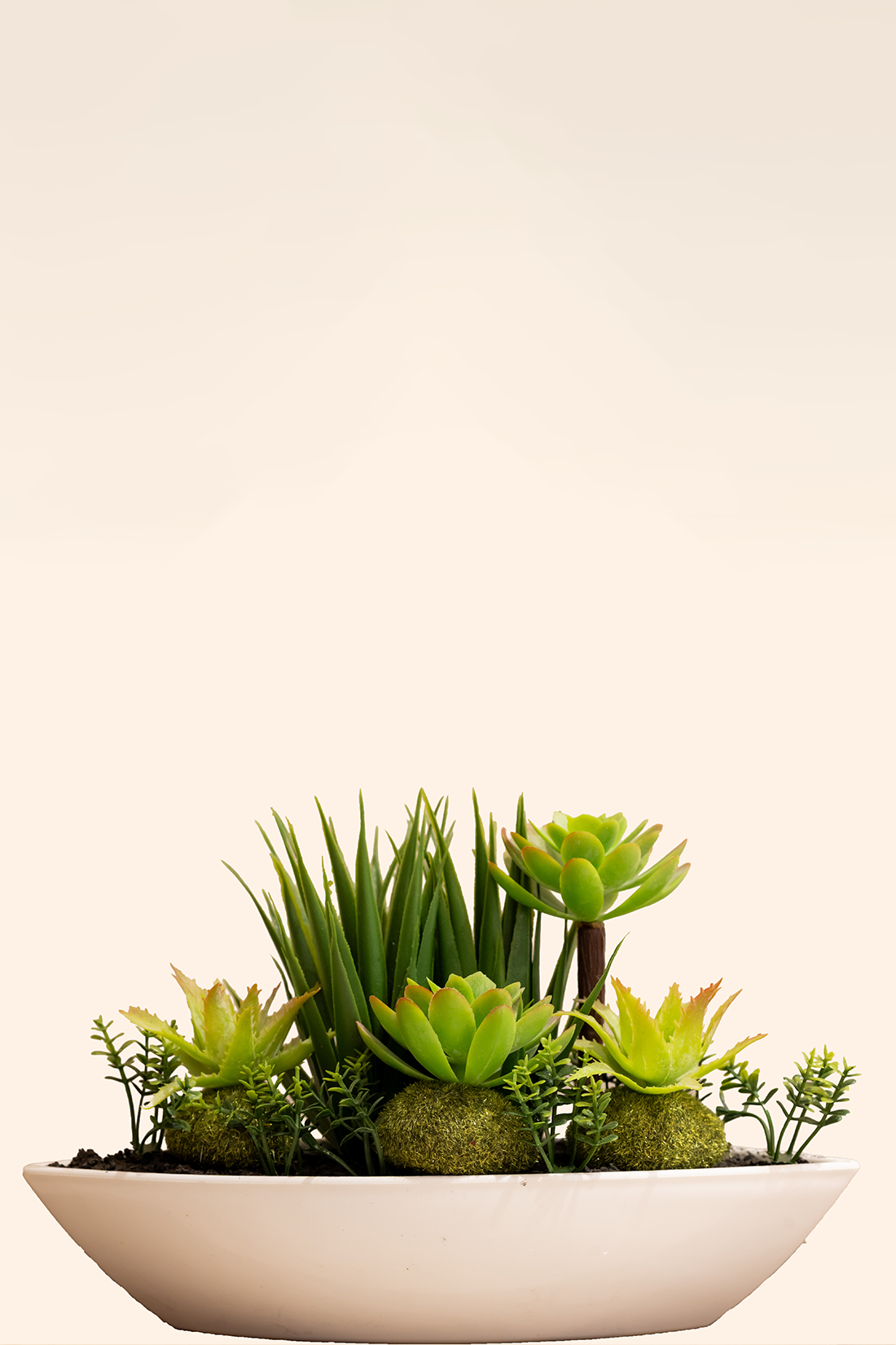 Artificial Succulent Plant