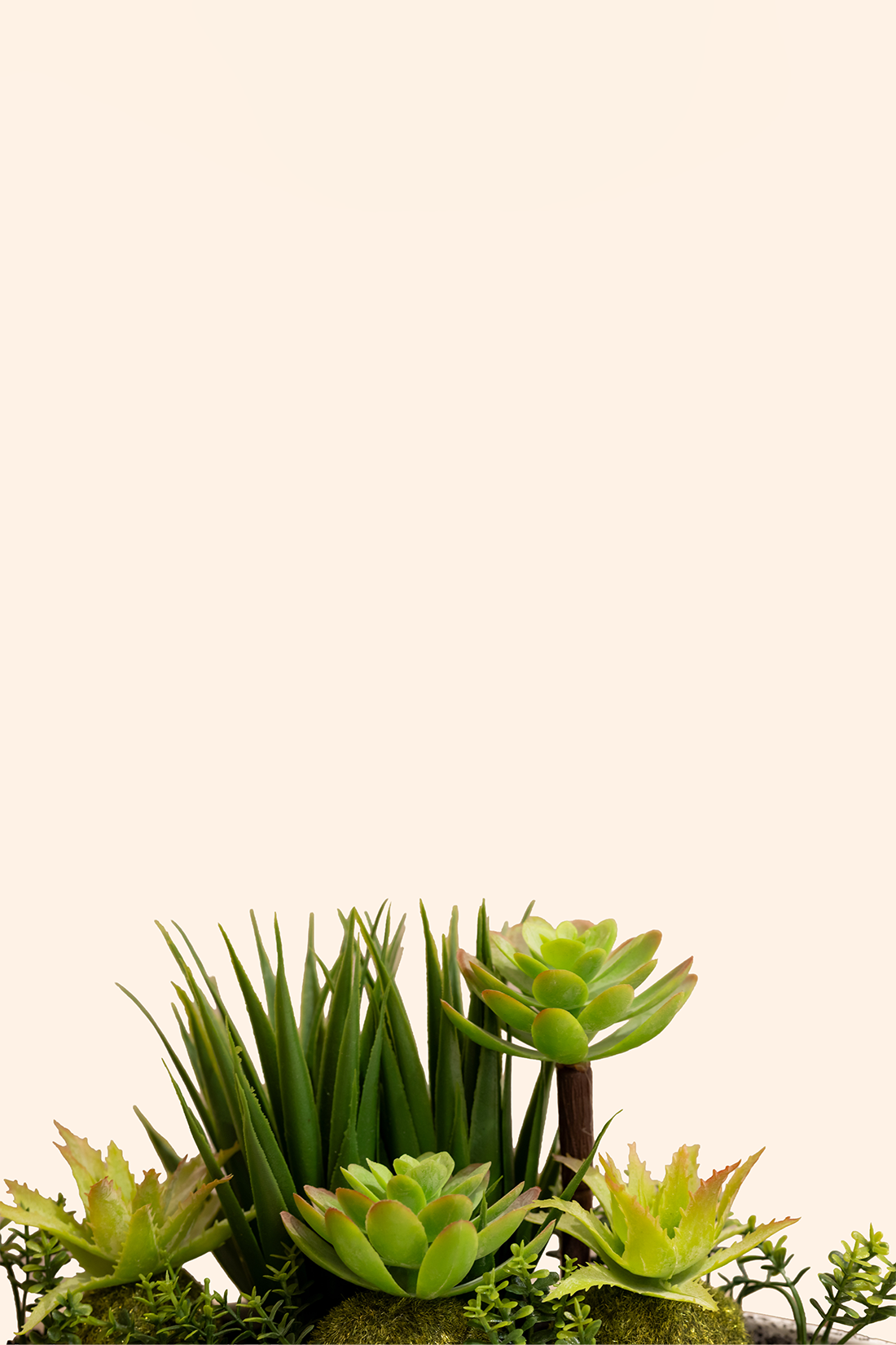 Artificial Succulent Plant