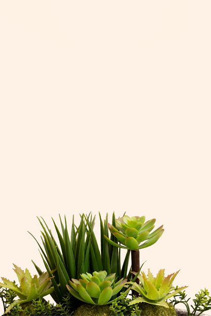 Artificial Succulent Plant