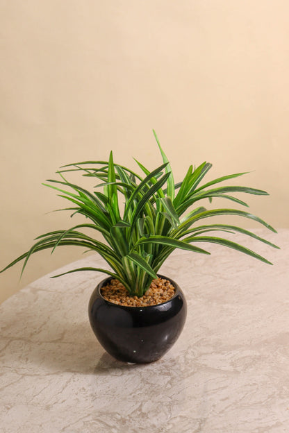 Artificial Dracaena Plant