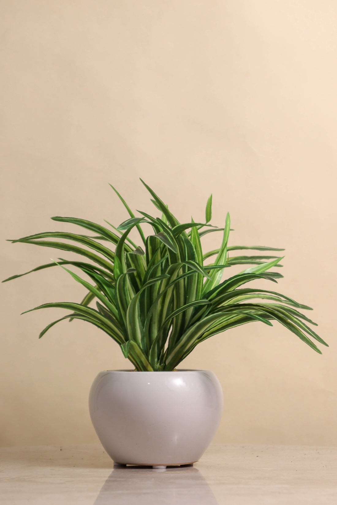 Artificial Dracaena Plant