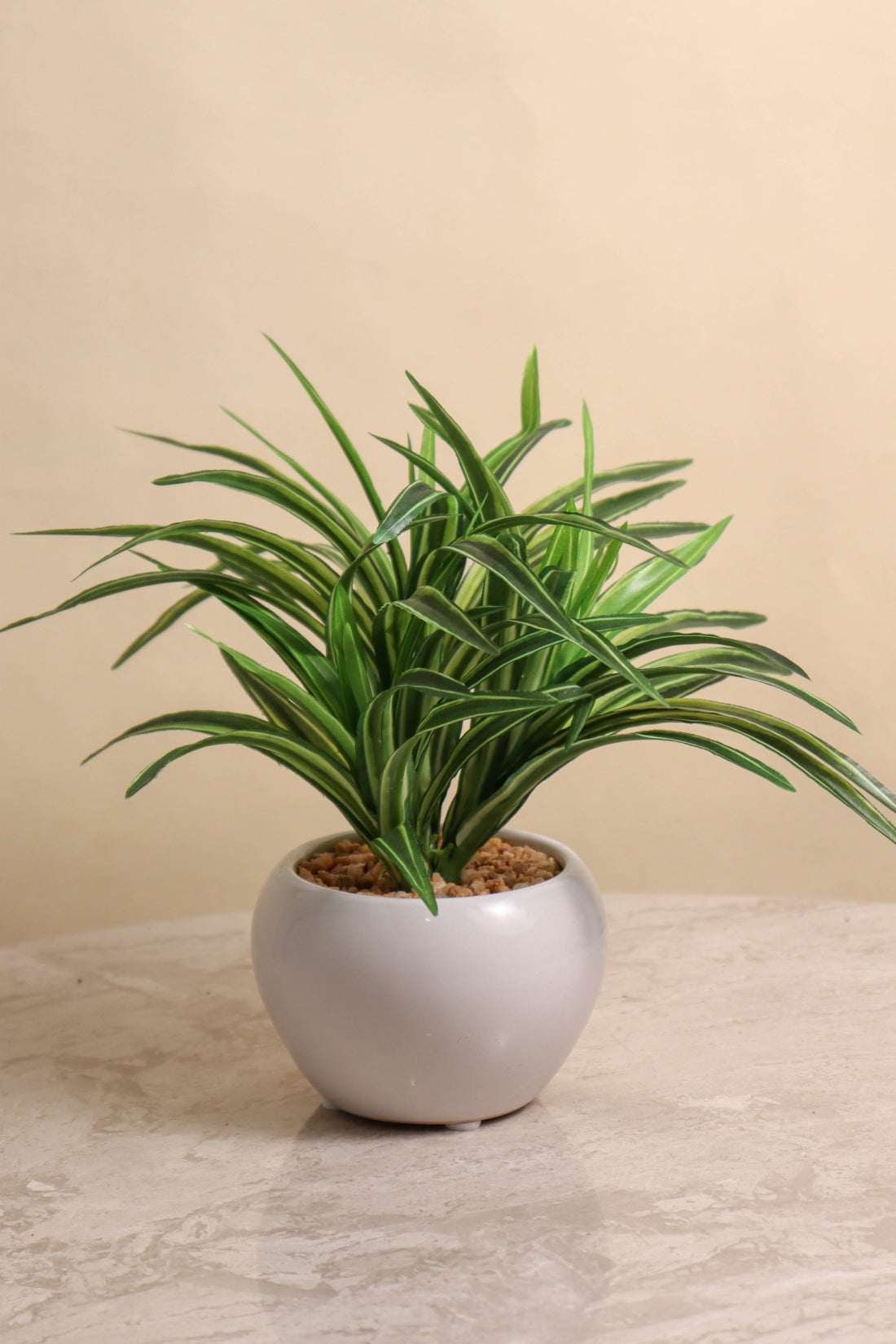 Artificial Dracaena Plant