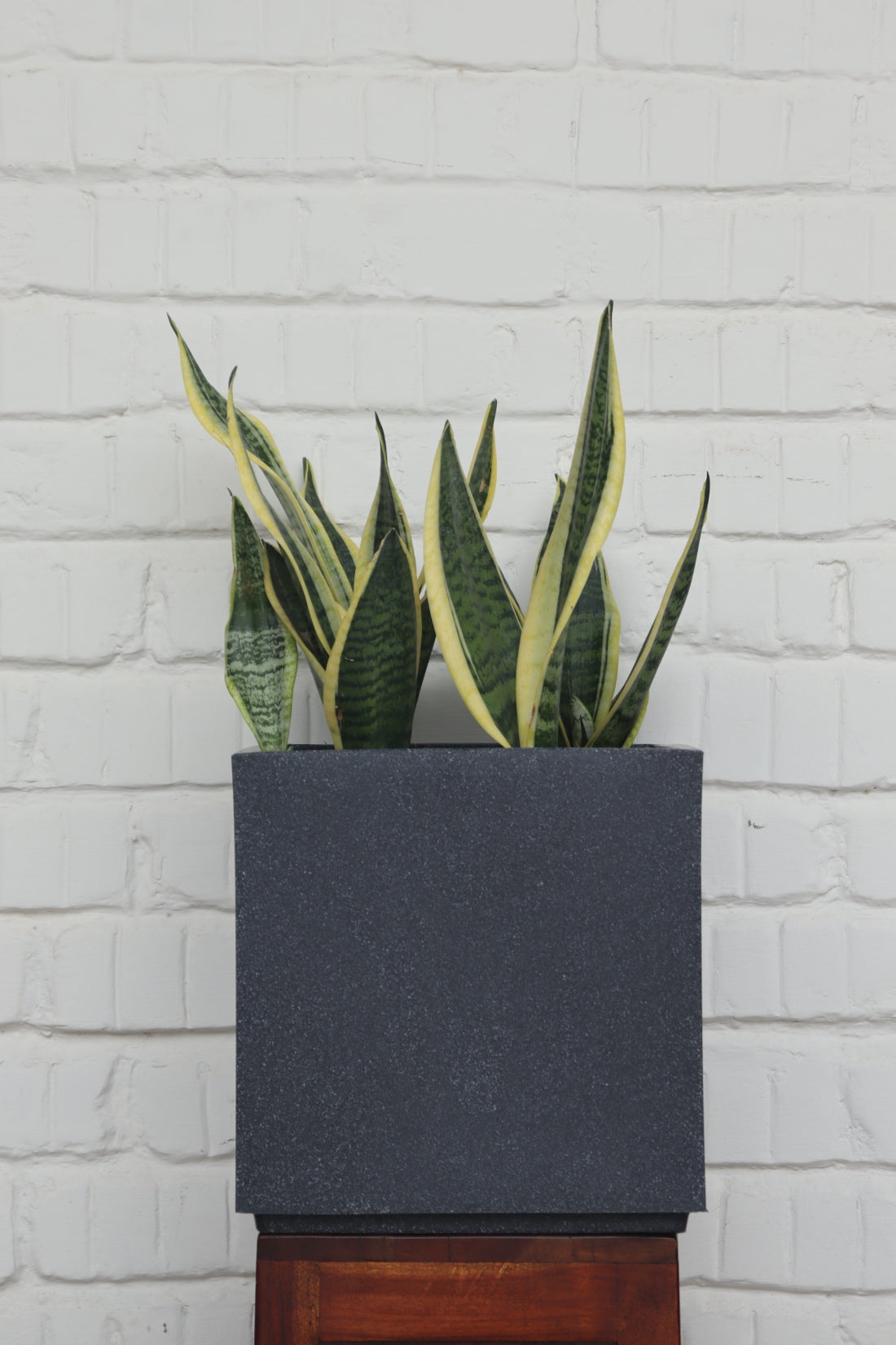 Cubo Planter