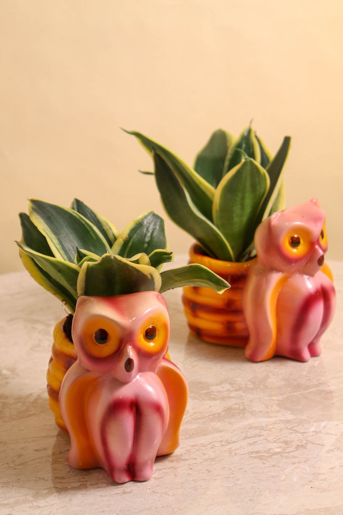 HP Basket Owl Pot (set of 2)