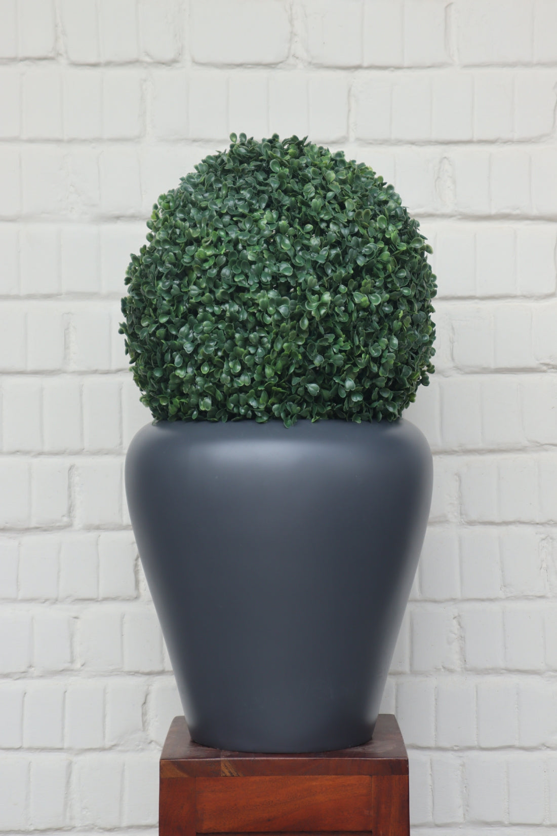 Max Planter