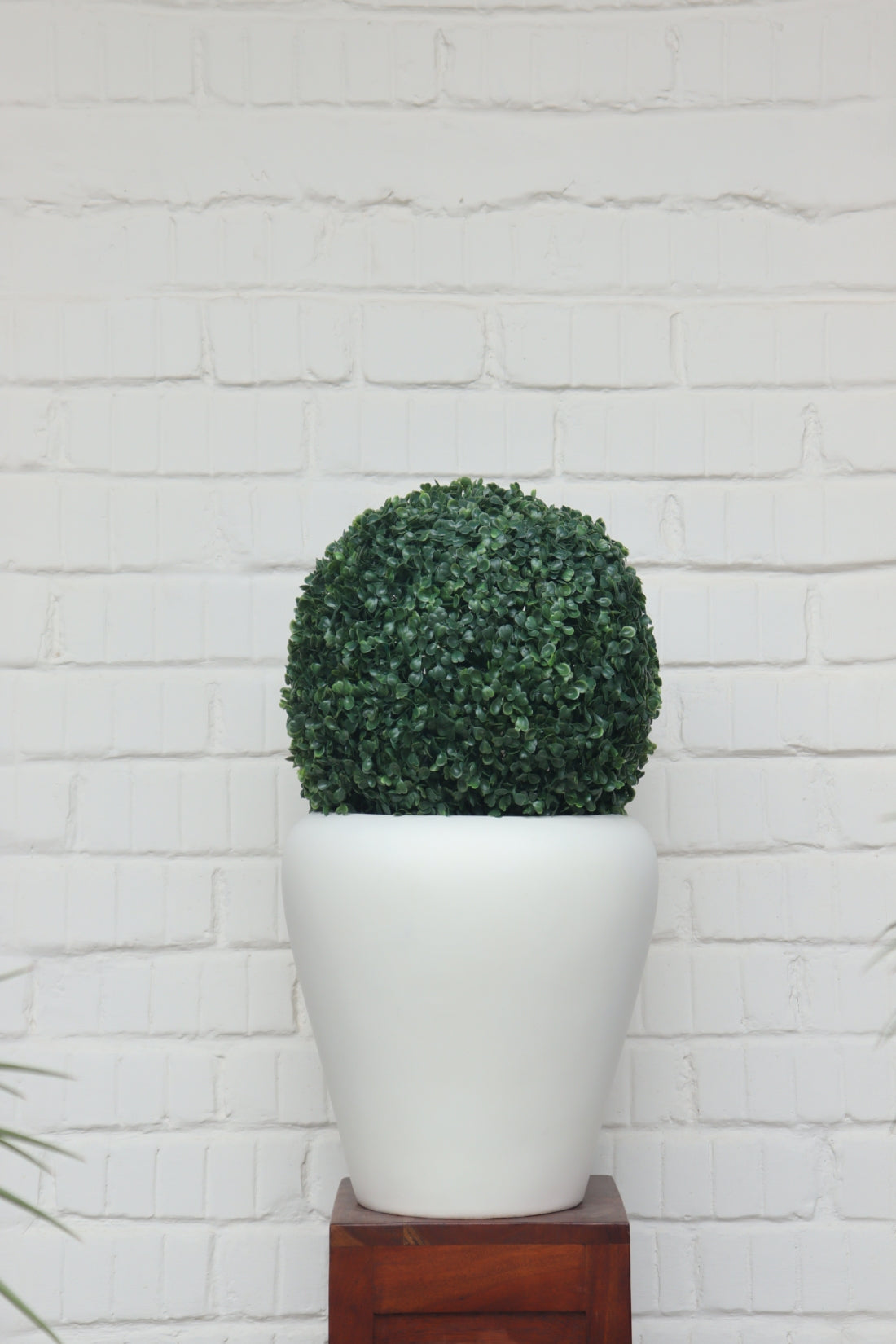 Max Planter