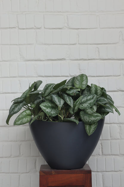 NAV KTR Planter