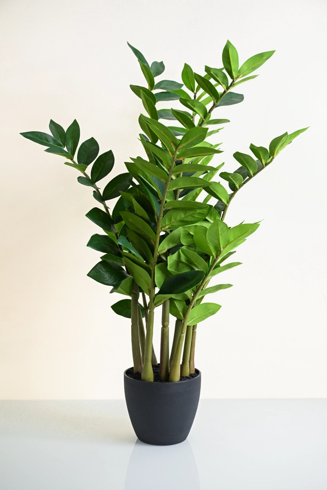 Artificial ZZ Plant