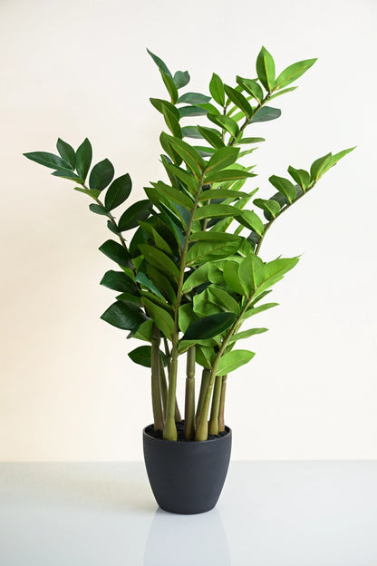 Artificial ZZ Plant