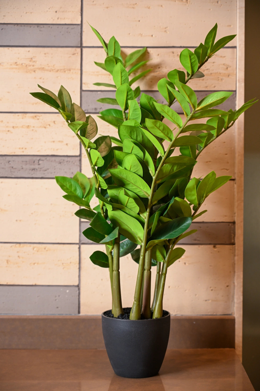 faux zz plant small Artificial ZZ Plant – Pariworld