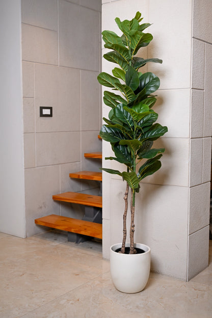 5ft Fiddle Leaf Artificial (Faux) Plant