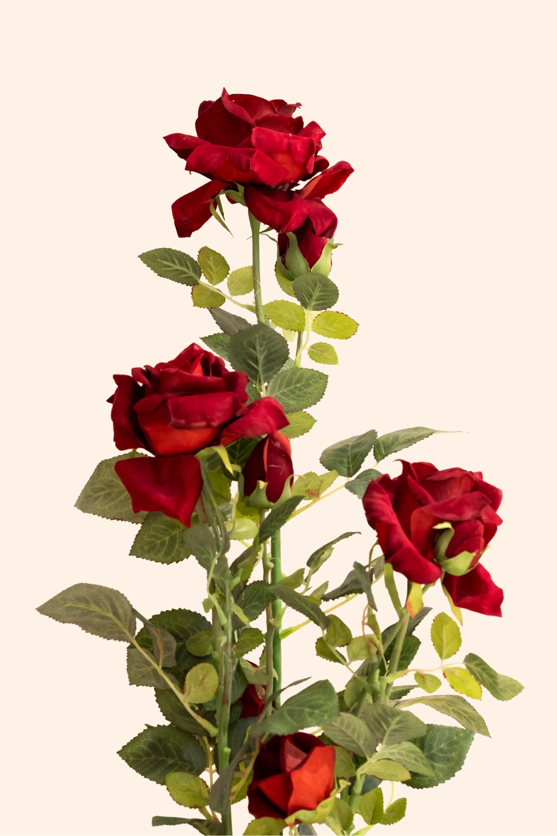 Artificial Rose Plant