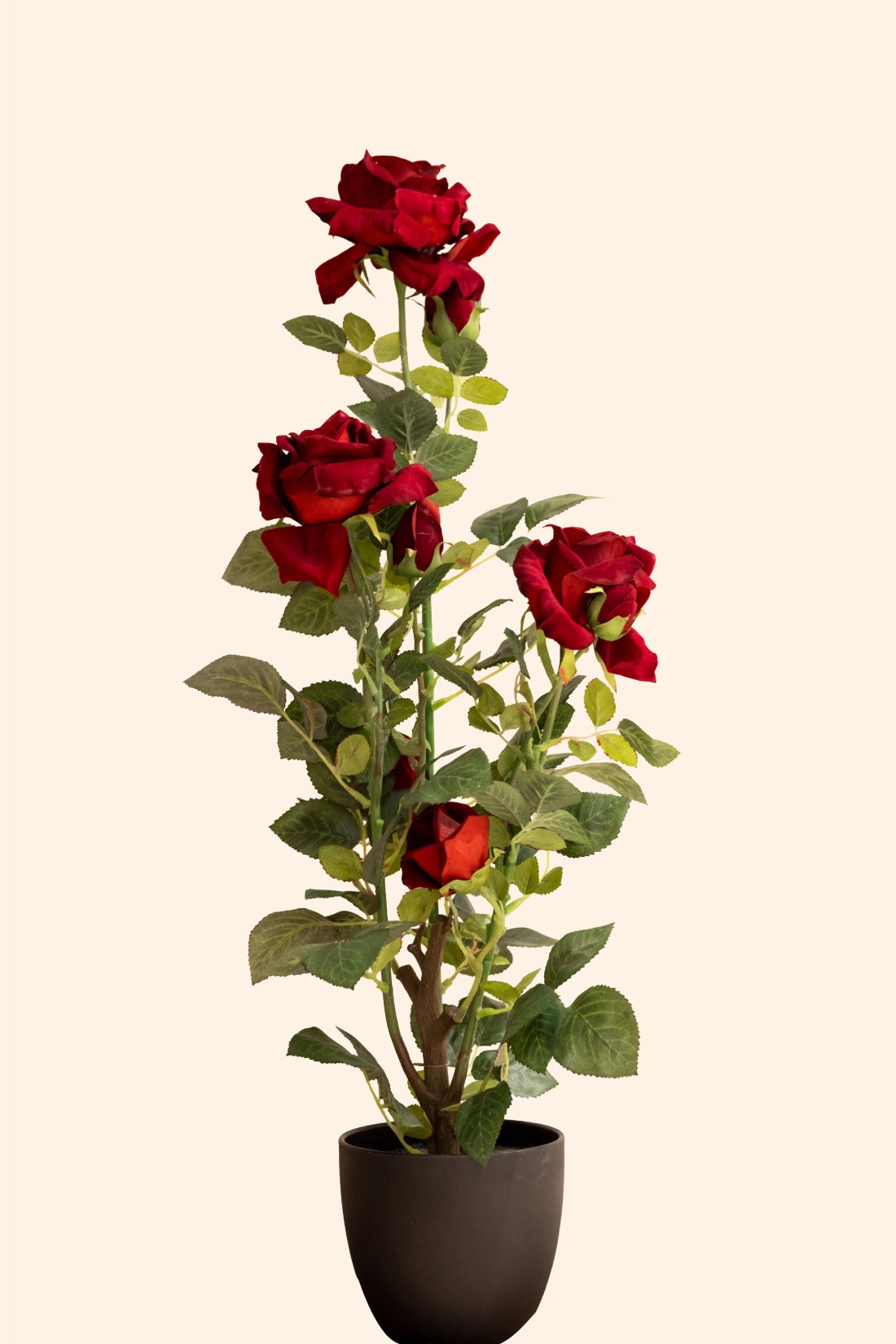 Artificial Rose Plant